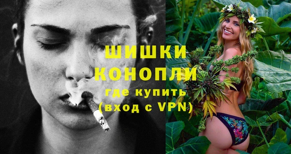 сатива Бронницы