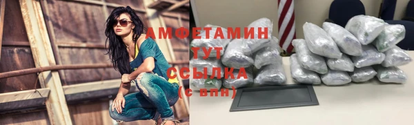 сатива Бронницы