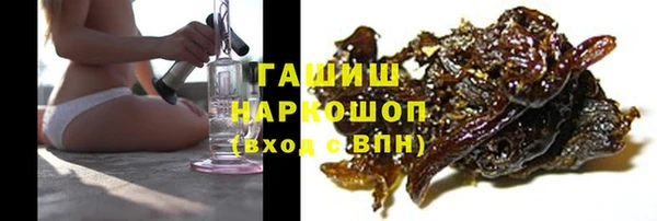 шишки Бородино