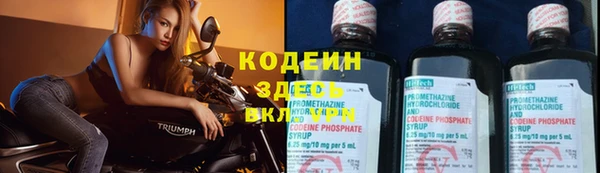 сатива Бронницы