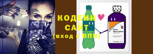 шишки Бородино