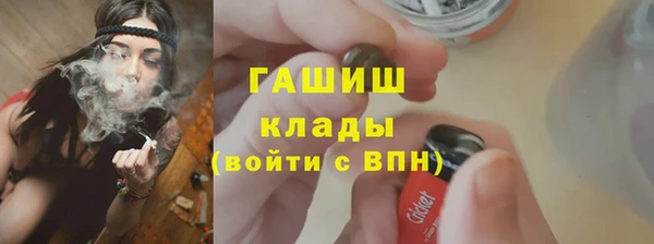 шишки Бородино