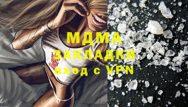 шишки Бородино