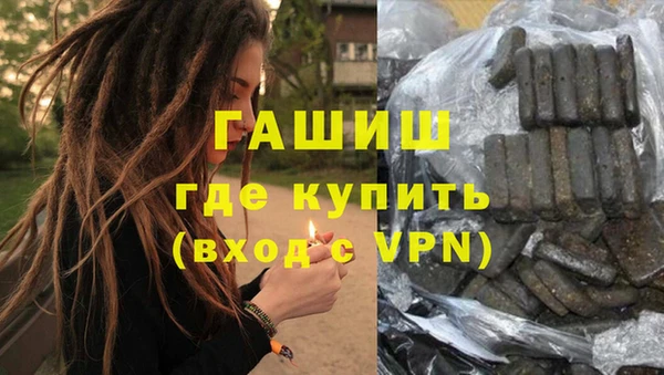 шишки Бородино