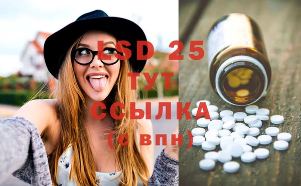 шишки Бородино