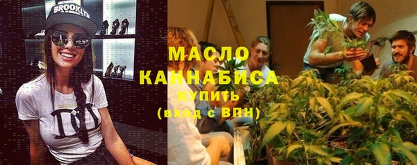 шишки Бородино