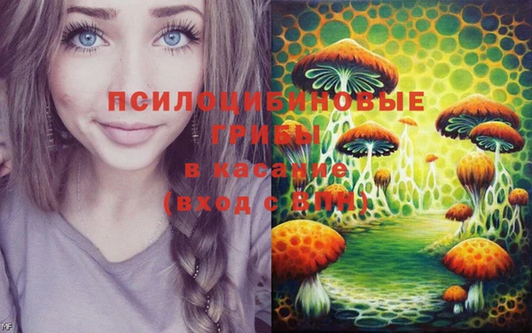 шишки Бородино