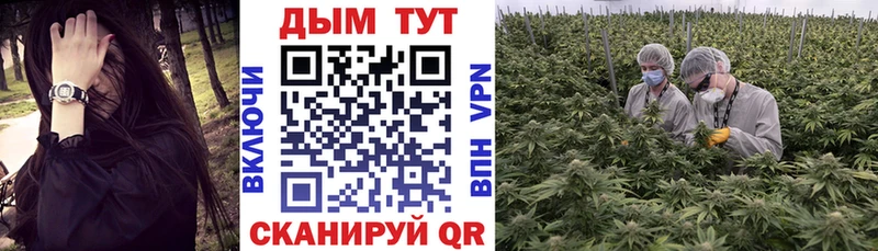 где продают наркотики Абакан Бошки Шишки планчик